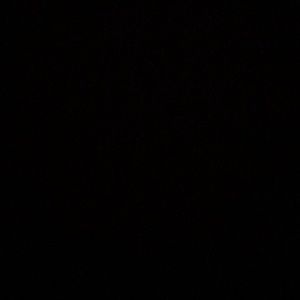 Meet your Posher, Bailey